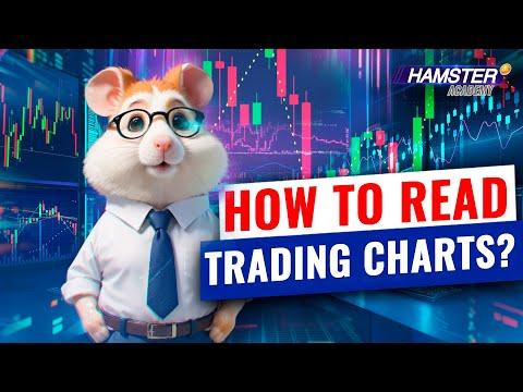 Investing for beginners: How to read trading charts ⚡️ Hamster Academy