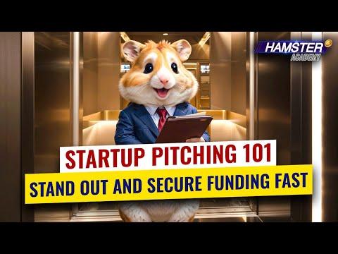 How to pitch your startup to investors ⚡️ Hamster Academy